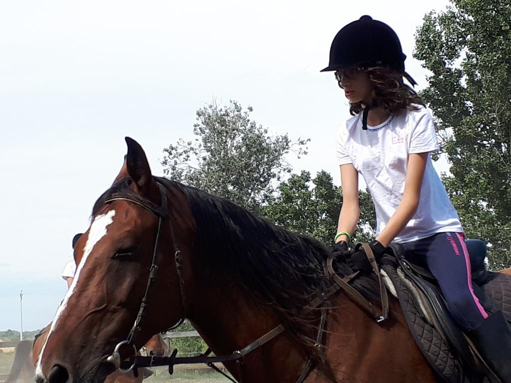 Gyula-Tanya Vendeghaz Villa ชงกราด ภายนอก รูปภาพ